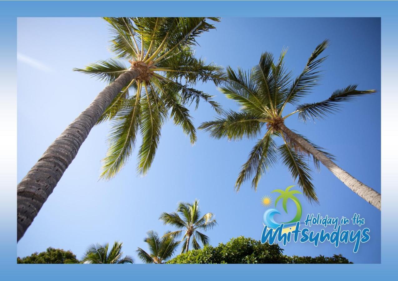 Ocean Views 16 Pool & Spa Wi-Fi Airlie Beach Eksteriør billede